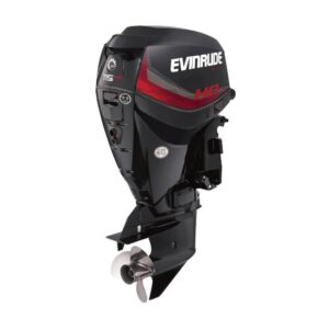 2019 Evinrude 115 HO A115GHL For Sale – 20 in. Shaft