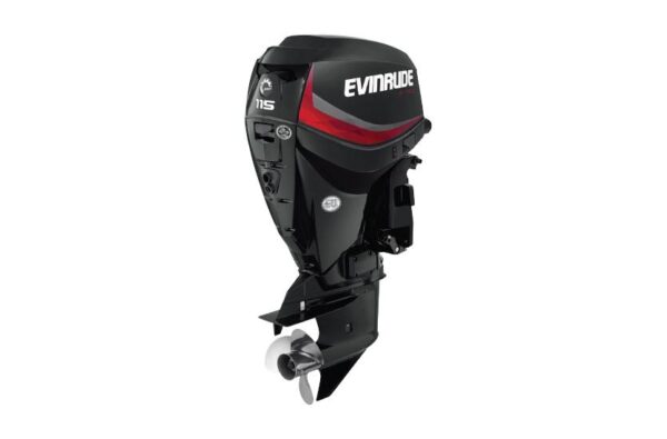 2019 Evinrude 115HP E115DGL For Sale