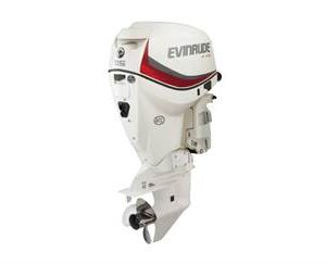2019 Evinrude 115HP E115DSL For Sale – 20 in. Shaft