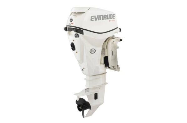 2019 Evinrude 15 HO E15HPSL For Sale