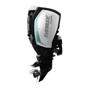 2019 Evinrude 200 HO H200XH For Sale – 25 in. Shaft