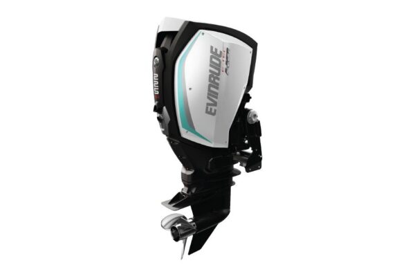 2019 Evinrude 225 HO H225XCH For Sal