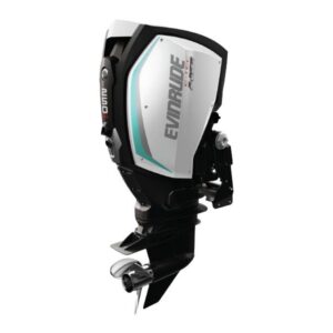 2019 Evinrude 225 HO H225XH For Sale – 25 in. Shaft