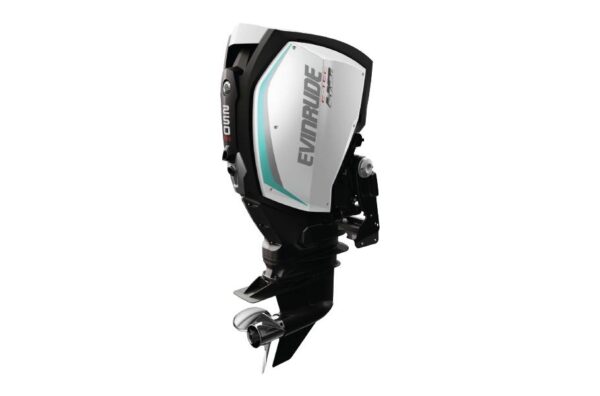 2019 Evinrude 250 HO H250AXH For Sale