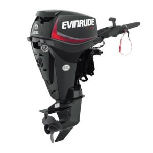 2019 Evinrude 25HP E25DGTL For Sale – 20 in. Shaft