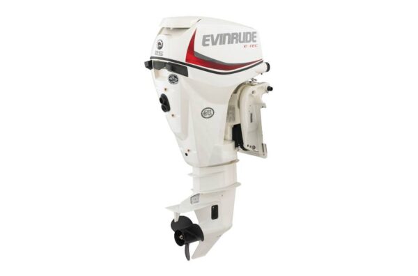 2019 Evinrude 25HP E25DPSL For Sale