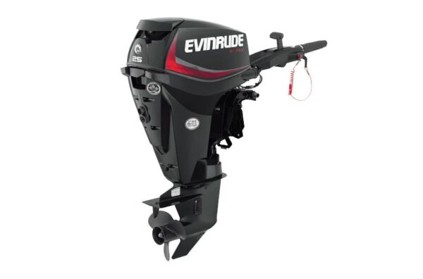 2019 Evinrude 25HP E25GTEL For Sale