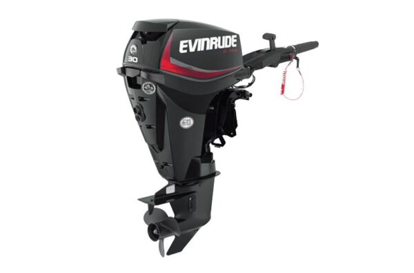 2019 Evinrude 30HP E30GTEL For Sale