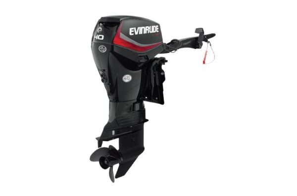 2019 Evinrude 40HP E40DGTL For Sale