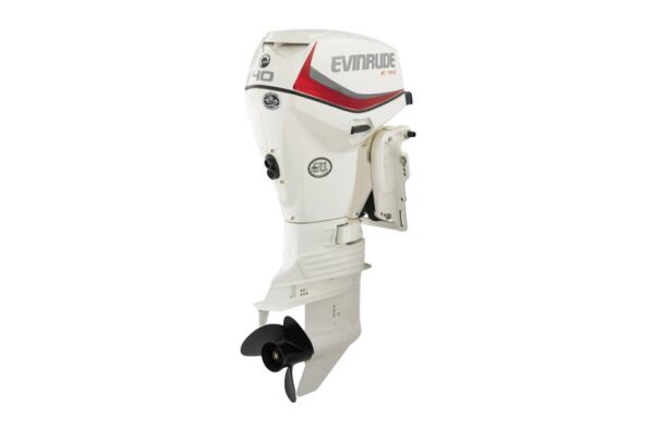 2019 Evinrude 40HP E40DSL For Sale