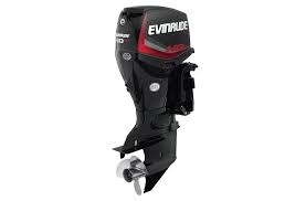 2019 Evinrude 60 HO E60HGL For Sale