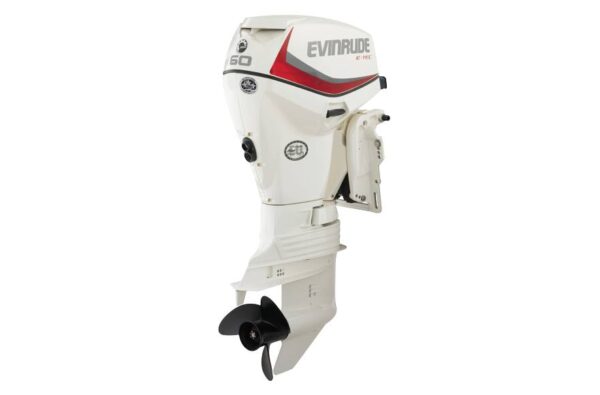 2019 Evinrude 60HP E60DSL For Sale