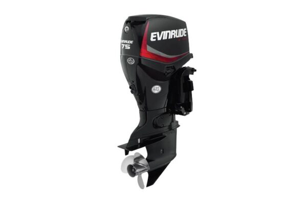 2019 Evinrude 75HP E75DPGL For Sale