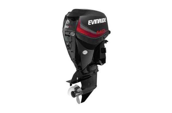 2019 Evinrude 90 HO E90HGL For Sale