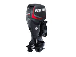 2019 Evinrude E60DPJL Outboard For Sale – 20 in. Shaft