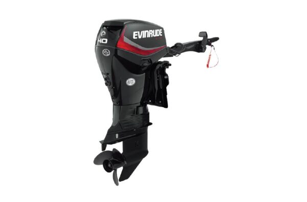 Evinrude 40HP E40DRGL For Sale