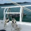 Custom Custom 62 PARATY - Image 30